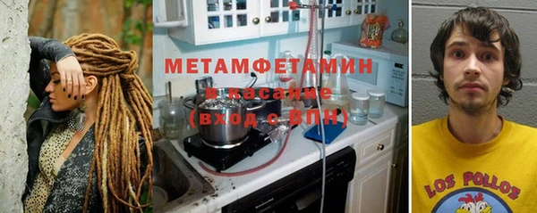 гидра Аркадак
