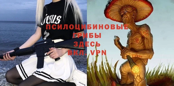 гидра Аркадак
