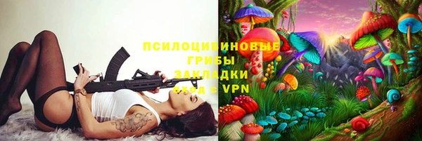 гидра Аркадак