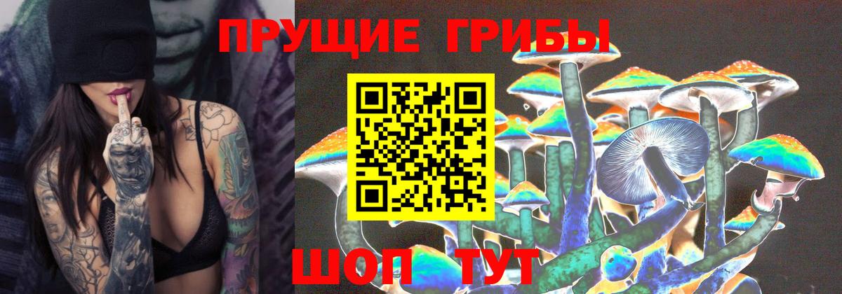 Кореновск  Псилоцибиновые грибы GOLDEN TEACHER  Вход с VPN 